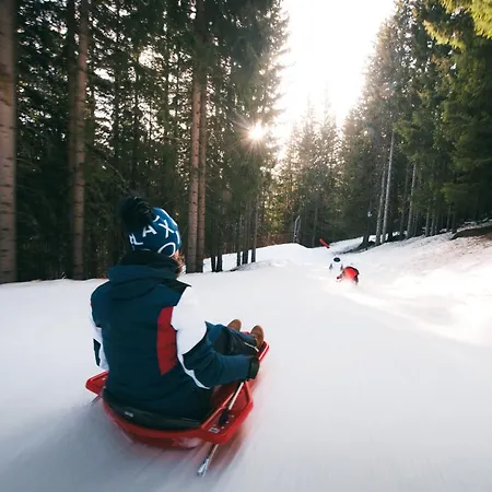 Appartement Confortable 2 Pièces, Skis Aux Pieds, 4 Pers - Fr-1-182a-41 Courchevel