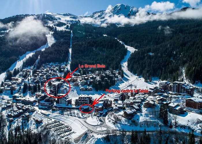 Confortable 2 Pieces, Skis Aux Pieds, Proche Commerces - Fr-1-182a-41 *